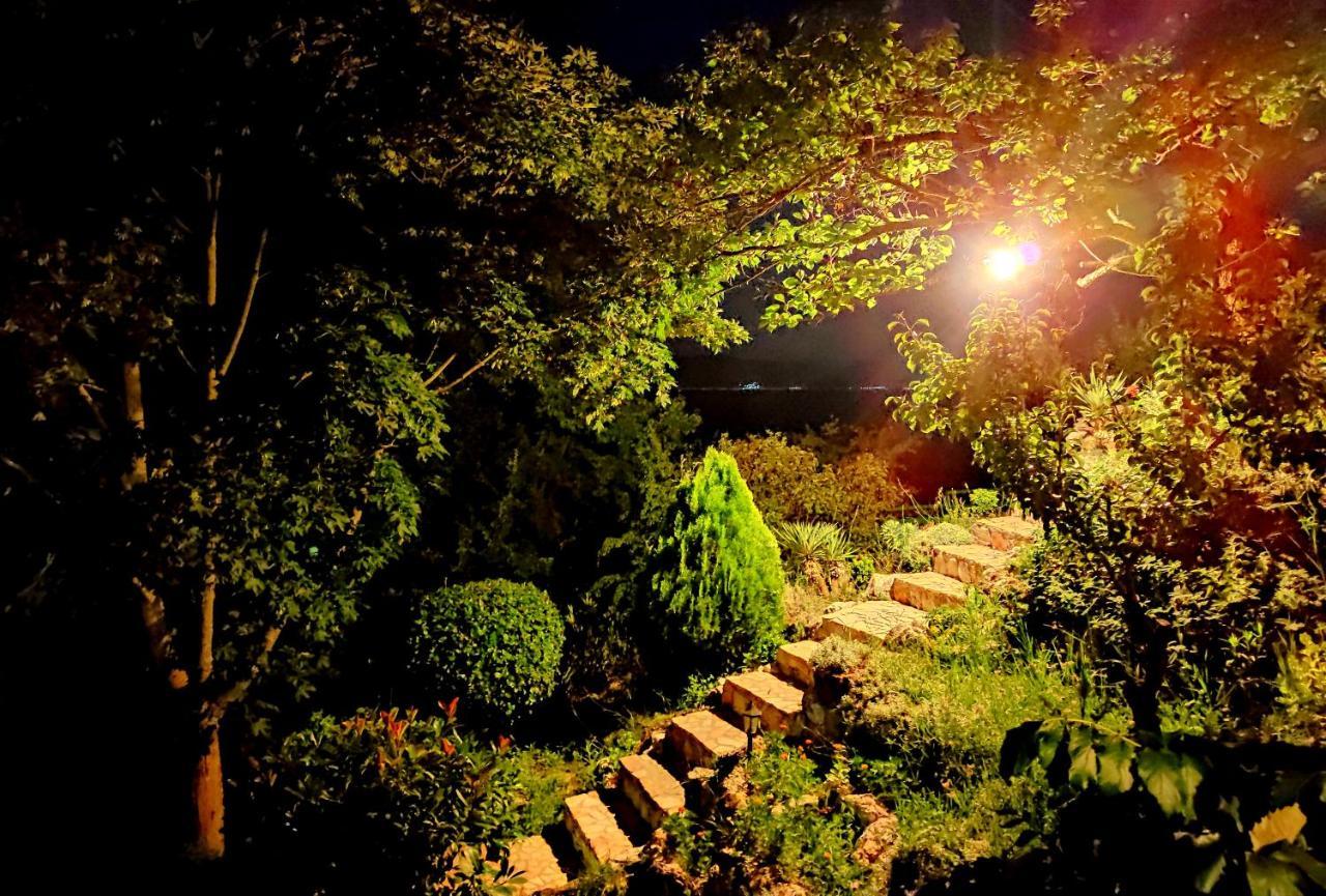 אוהריד Villa Forest Paradise מראה חיצוני תמונה