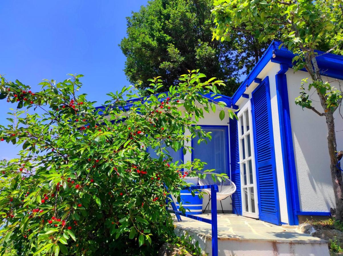אוהריד Villa Forest Paradise מראה חיצוני תמונה