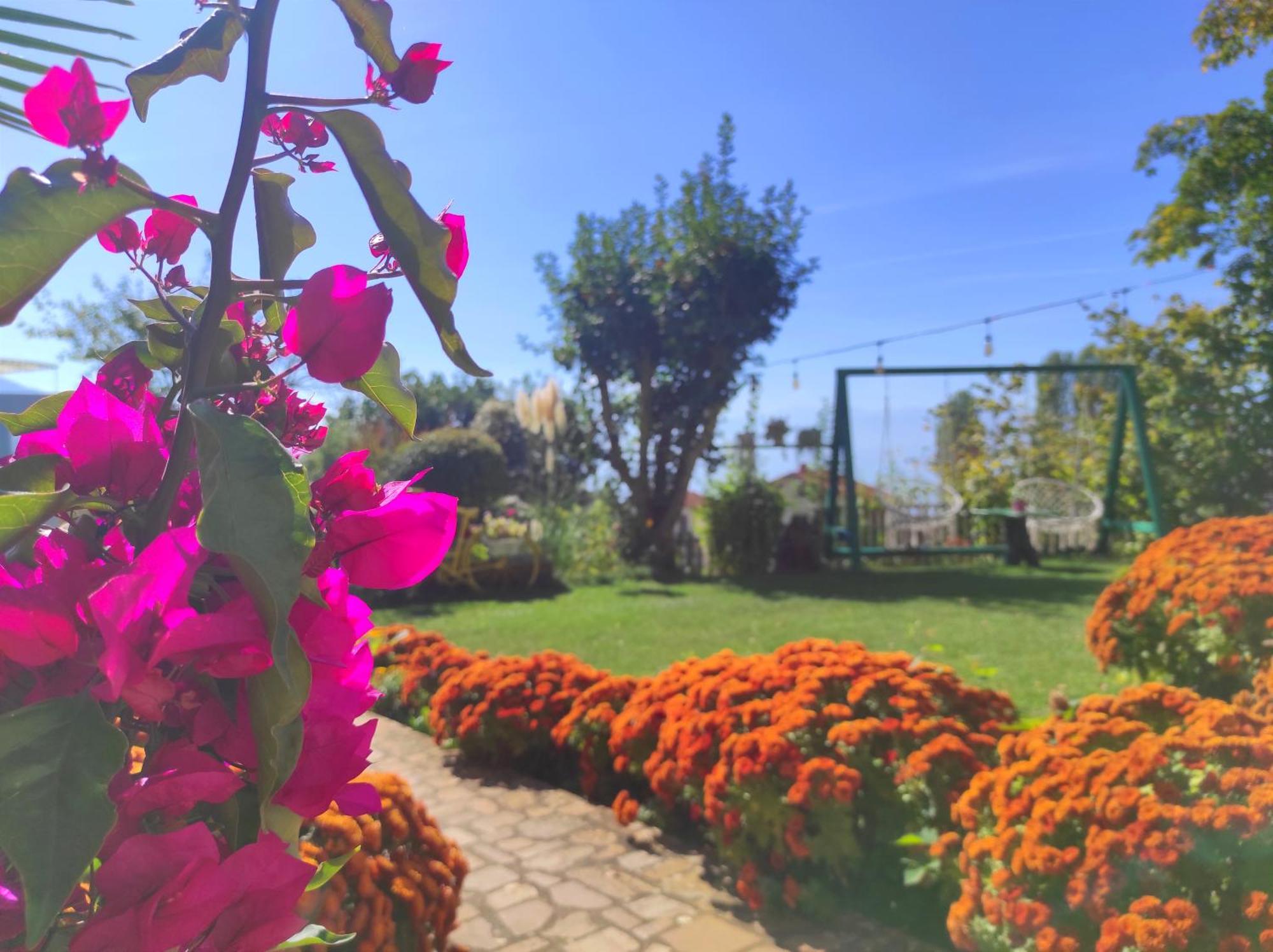 אוהריד Villa Forest Paradise מראה חיצוני תמונה