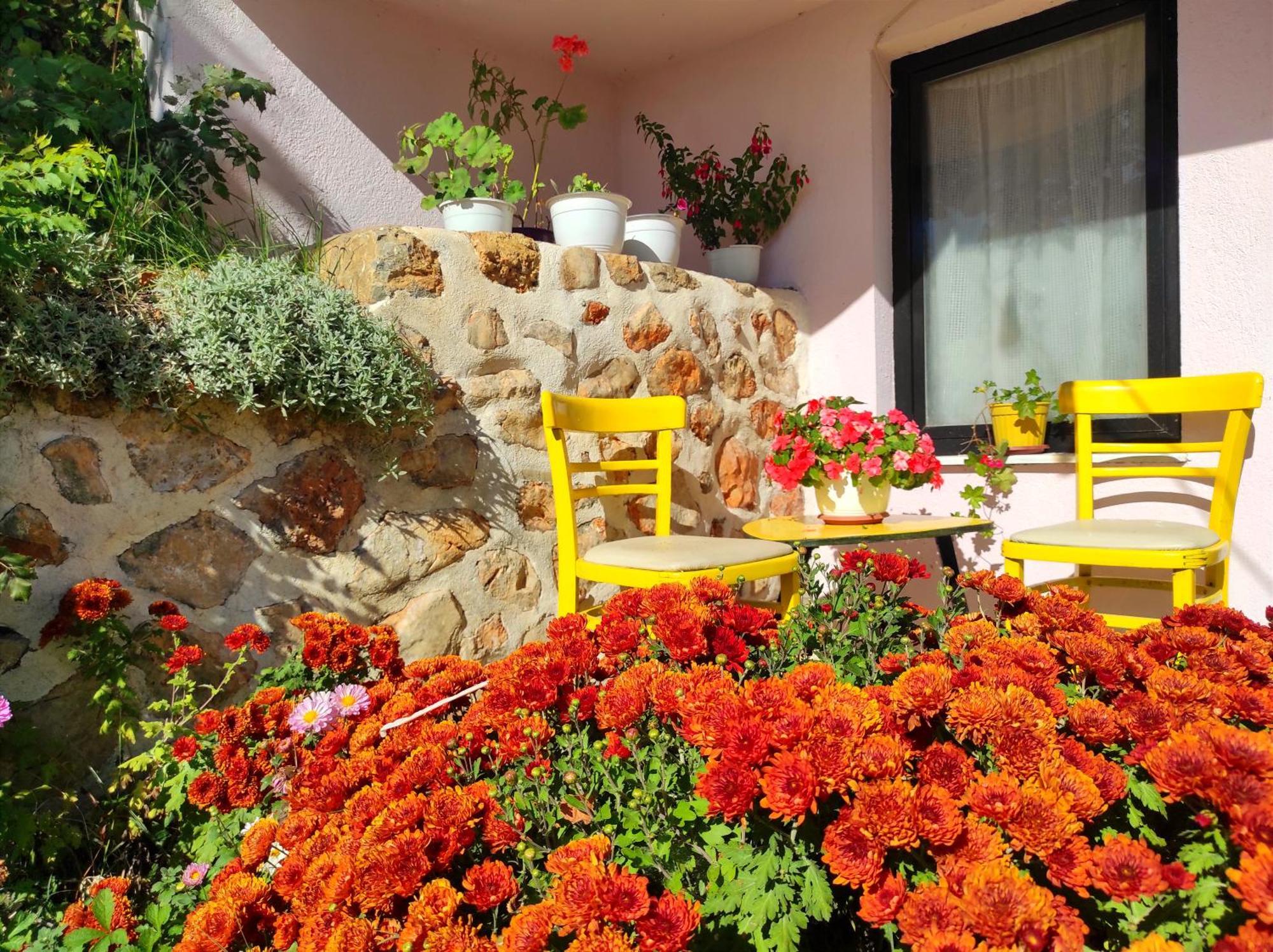 אוהריד Villa Forest Paradise מראה חיצוני תמונה
