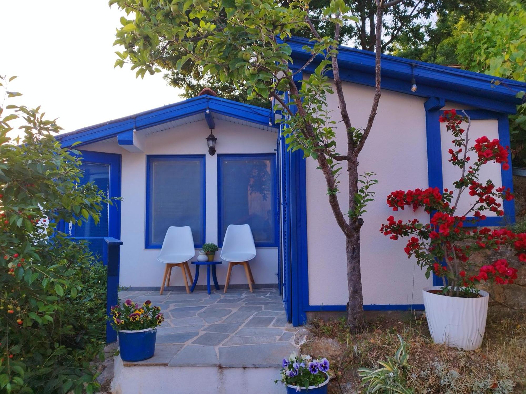 אוהריד Villa Forest Paradise מראה חיצוני תמונה